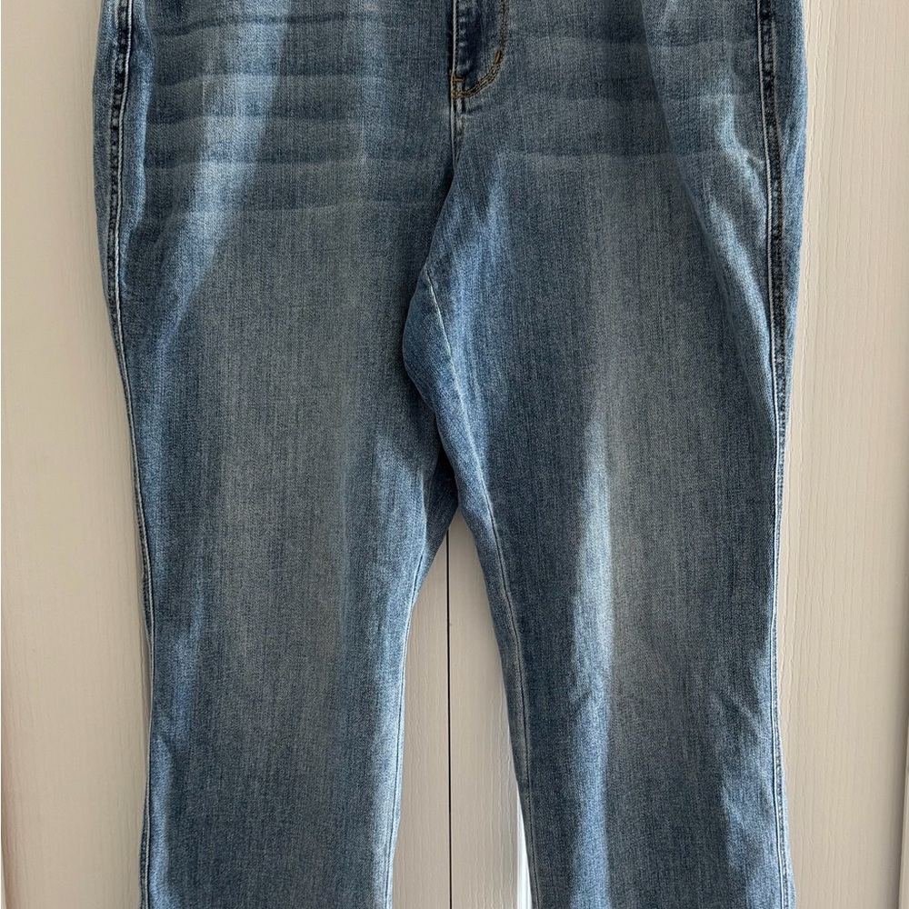 Judy Blue Distressed Women’s Dad Jeans Size 16W